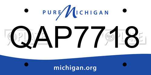 QAP7718 Michigan License Plate