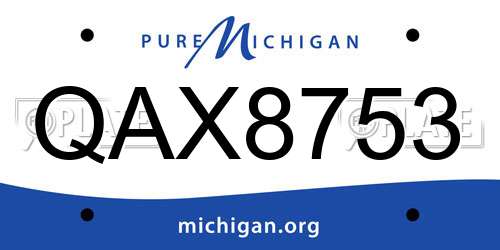 QAX8753 Michigan License Plate