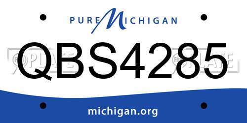 QBS4285 Michigan License Plate