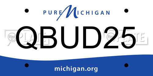 QBUD25 Michigan License Plate