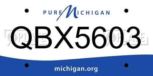QBX5603 Michigan License Plate