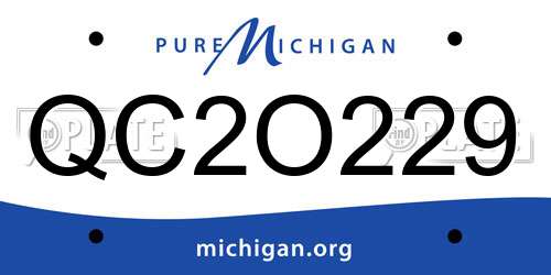 QC2O229 Michigan License Plate