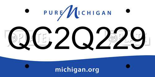 QC2Q229 Michigan License Plate