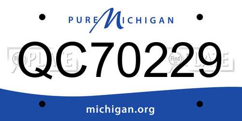 QC70229 Michigan License Plate