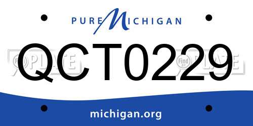 QCT0229 Michigan License Plate