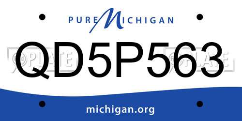 QD5P563 Michigan License Plate