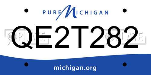 QE2T282 Michigan License Plate