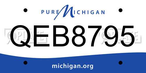QEB8795 Michigan License Plate