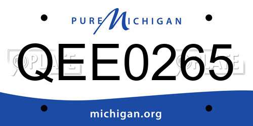 QEE0265 Michigan License Plate