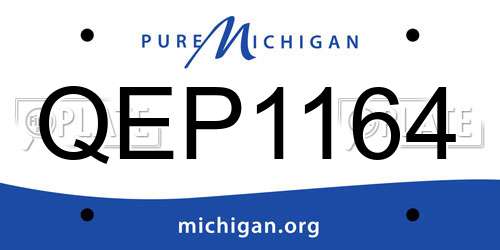 QEP1164 Michigan License Plate