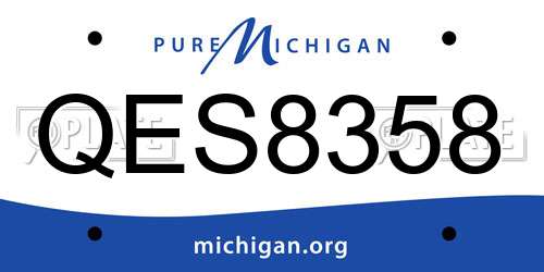 QES8358 Michigan License Plate
