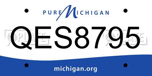 QES8795 Michigan License Plate