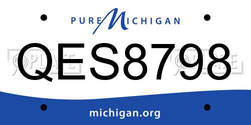 QES8798 Michigan License Plate