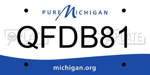 QFDB81 Michigan License Plate
