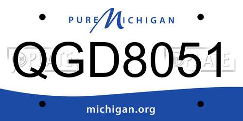 QGD8051 Michigan License Plate