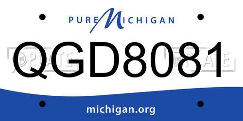 QGD8081 Michigan License Plate