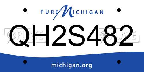 QH2S482 Michigan License Plate