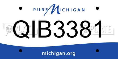 QIB3381 Michigan License Plate