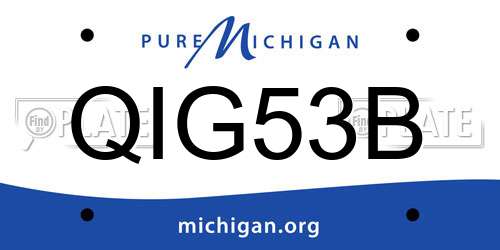 QIG53B Michigan License Plate