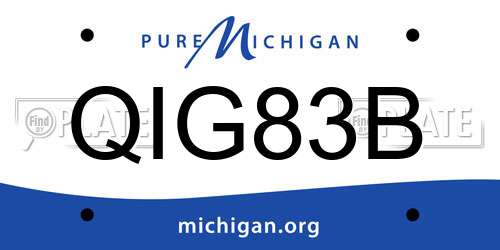 QIG83B Michigan License Plate