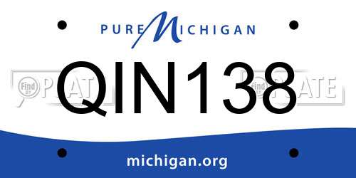 QIN138 Michigan License Plate