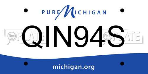 QIN94S Michigan License Plate