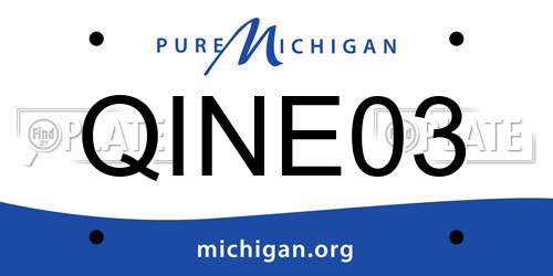 QINE03 Michigan License Plate