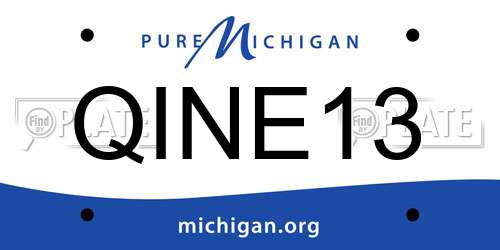 QINE13 Michigan License Plate