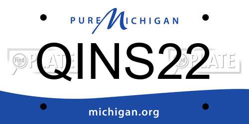 QINS22 Michigan License Plate