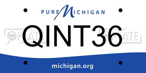 QINT36 Michigan License Plate