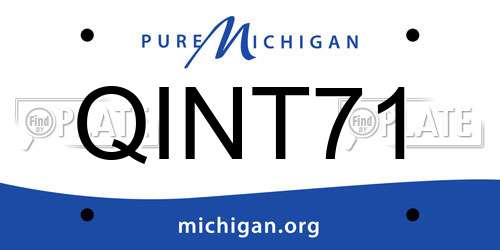 QINT71 Michigan License Plate