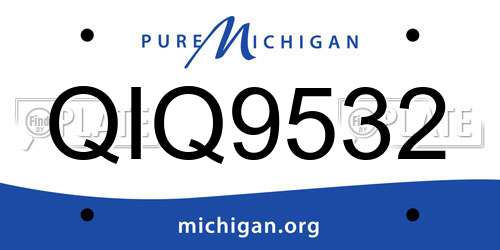 QIQ9532 Michigan License Plate
