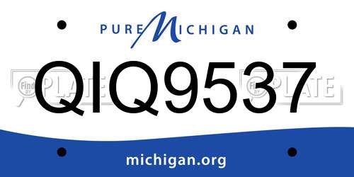 QIQ9537 Michigan License Plate