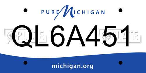 QL6A451 Michigan License Plate