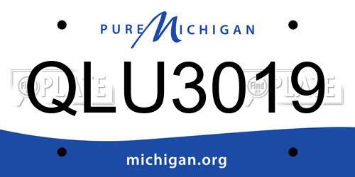 QLU3019 Michigan License Plate