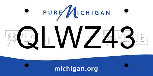 QLWZ43 Michigan License Plate