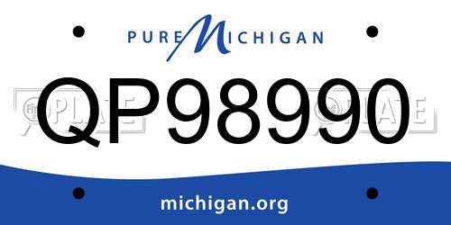 QP98990 Michigan License Plate