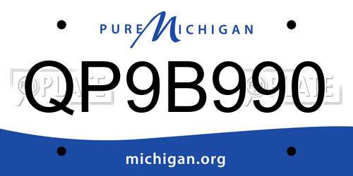 QP9B990 Michigan License Plate