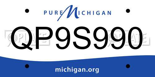 QP9S990 Michigan License Plate