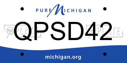 QPSD42 Michigan License Plate