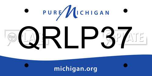 QRLP37 Michigan License Plate