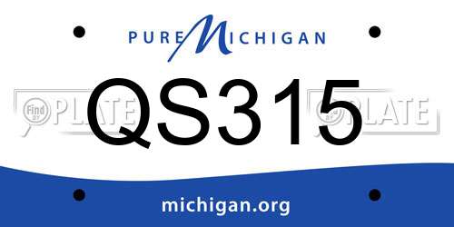 QS315 Michigan License Plate