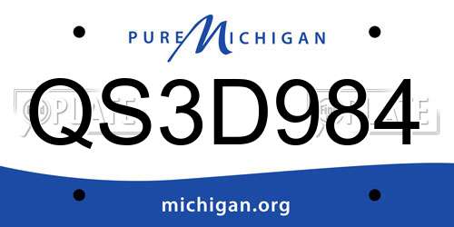 QS3D984 Michigan License Plate