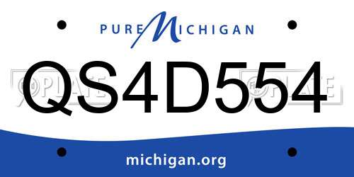 QS4D554 Michigan License Plate