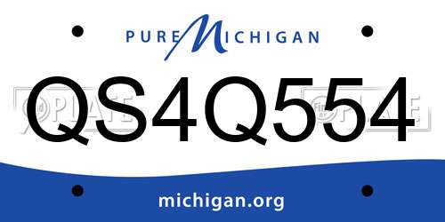 QS4Q554 Michigan License Plate
