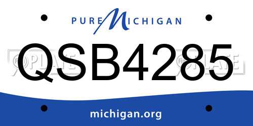 QSB4285 Michigan License Plate