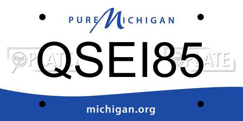 QSEI85 Michigan License Plate