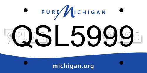 QSL5999 Michigan License Plate