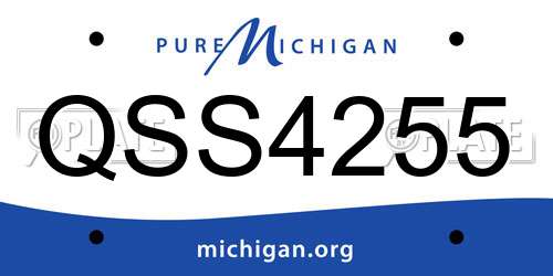 QSS4255 Michigan License Plate