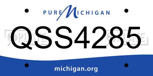 QSS4285 Michigan License Plate
